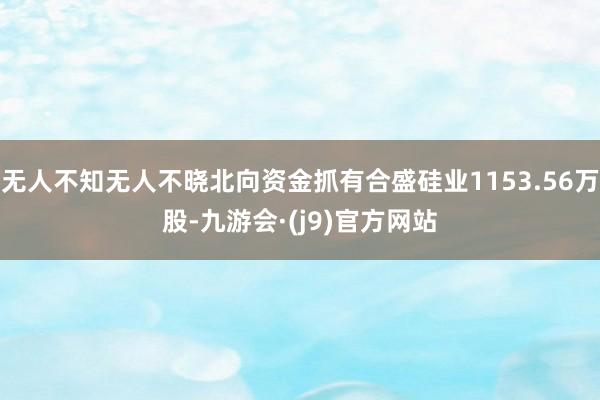 无人不知无人不晓北向资金抓有合盛硅业1153.56万股-九游会·(j9)官方网站